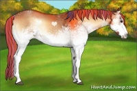 Horse Color:Painted White Spotted Bay Onyx