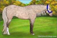 Horse Color:Silver Brown Ice Roan Dun Varnish 