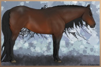 Horse Color:Gray Brown 