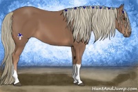 Horse Color:Chestnut Mushroom