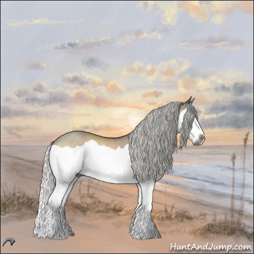 Horse Color:Gray Silver Brown Chinchilla Dun Splash 