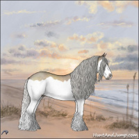 Horse Color:Gray Silver Brown Chinchilla Dun Splash 