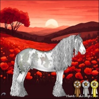 Horse Color:White Spotted Silver Grullo Chinchilla Splash 