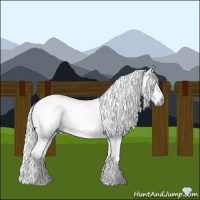 Horse Color:Gray Platinum Chocolate Bay Roan Dun 