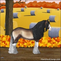 Horse Color:Brown Onyx Splash Rabicano 