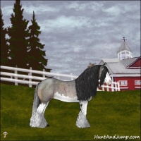 Horse Color:Brown Roan Mushroom Splash Appaloosa 
