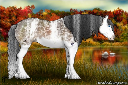Horse Color:White Spotted Brown Dun Splash 