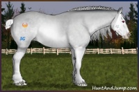 Horse Color:Silver Bay Chinchilla Splash 