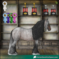 Horse Color:Brown Roan