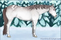 Horse Color:White Spotted Chocolate Brown Chinchilla Mushroom Sabino Varnish 