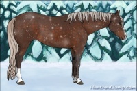Horse Color:Silver Brown Sabino 