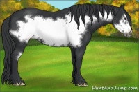 Horse Color:Black Frame 