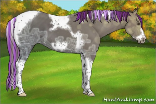 Horse Color:Painted Liver Chestnut Ice Tobiano Frame