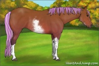 Horse Color:Painted White Spotted Silver Bay Tobiano 