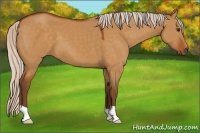 Horse Color:Silver Buckskin Dun 