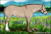 Horse Color:Liver Red Dun 