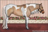 Horse Color:Silver Bay Dun Tobiano 