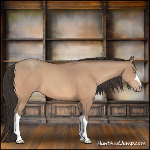Horse Color:Sable Champagne