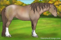Horse Color:Black Pearl
