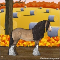 Horse Color:Buckskin Dun Mushroom 