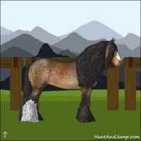 Horse Color:Buckskin Mushroom 