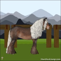 Horse Color:Liver Chestnut Mushroom 