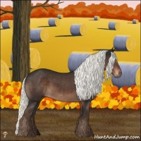 Horse Color:Liver Chestnut Mushroom 