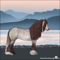 Horse Color:Platinum Chocolate Brown Roan Dun 