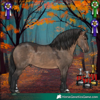 Horse Color:Brown Dun 