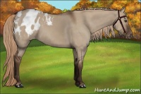 Horse Color:Liver Red Dun Blanket 