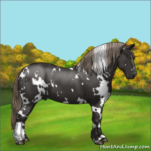Horse Color:White Spotted Liver Chestnut 