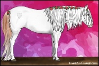 Horse Color:Bay Roan Splash Appaloosa