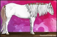Horse Color:Brown Roan Splash Frame Appaloosa