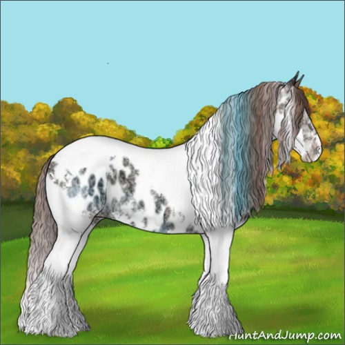Horse Color:Classic Champagne Ice Splash Tobiano Appaloosa 