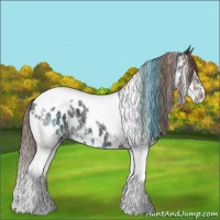 Horse Color:Classic Champagne Ice Splash Tobiano Appaloosa 