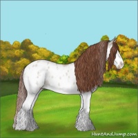 Horse Color:Classic Champagne Dun Splash Blanket 