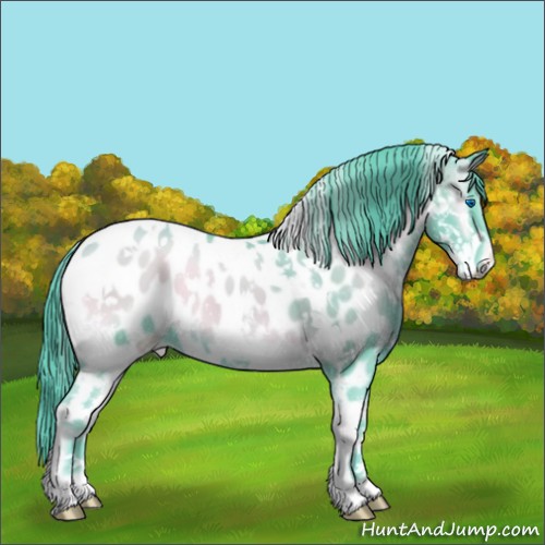 Horse Color:Watercolor Classic Champagne Onyx Splash Tobiano Near Leopard 