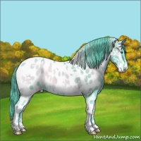Horse Color:Watercolor Classic Champagne Onyx Splash Tobiano Near Leopard