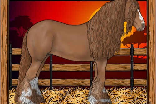Horse Color:Chestnut Sabino 