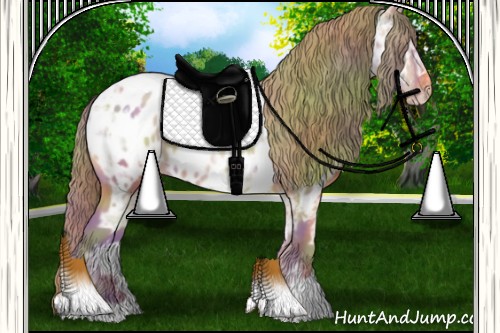 Horse Color:Nacre Watercolor Grullo Ice Pearl Appaloosa