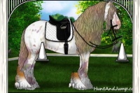 Horse Color:Nacre Watercolor Grullo Ice Pearl Appaloosa