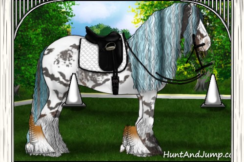 Horse Color:Painted White Spotted Liver Chestnut Tobiano 