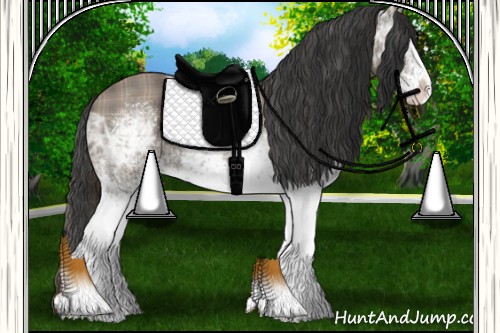 Horse Color:Plaid  White Spotted Grullo Ice 