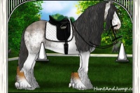 Horse Color:Plaid White Spotted Grullo Ice