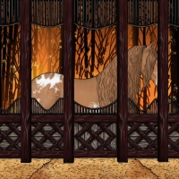 Horse Color:White Spotted Chestnut Appaloosa