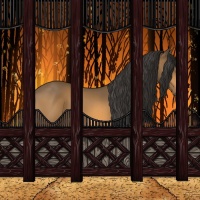 Horse Color:Buckskin Sabino 