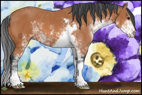 Horse Color:Bay Sabino 