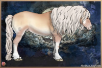 Horse Color:Silver Classic Champagne Onyx 