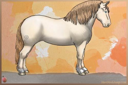 Horse Color:Buckskin Pearl Dun 
