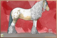 Horse Color:Watercolor Amber Champagne Tobiano Blanket Rabicano 
